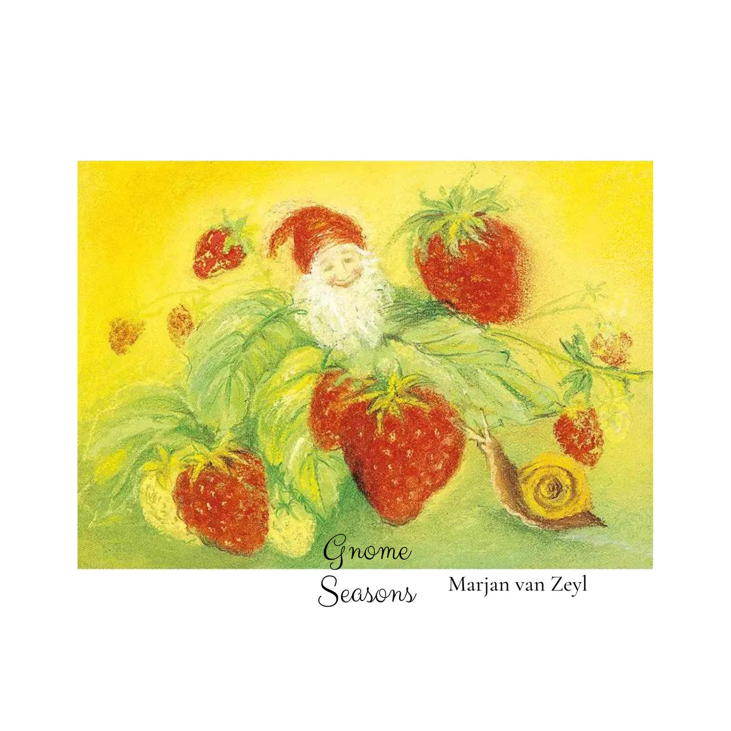Marjan van Zeyl Gnome Seasonal Postcard Set - Alder & Alouette