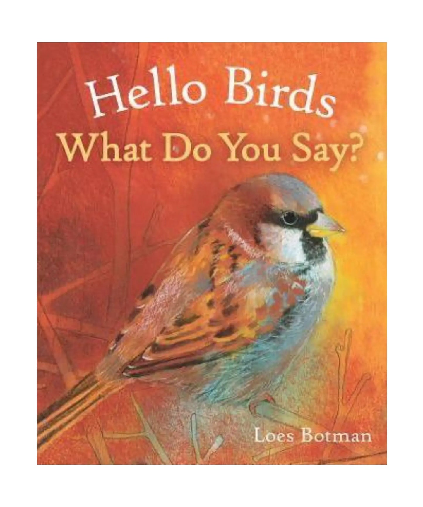 Book cover of 'Hello Birds, What Do You Say?' with a bird illustration on an orange background
