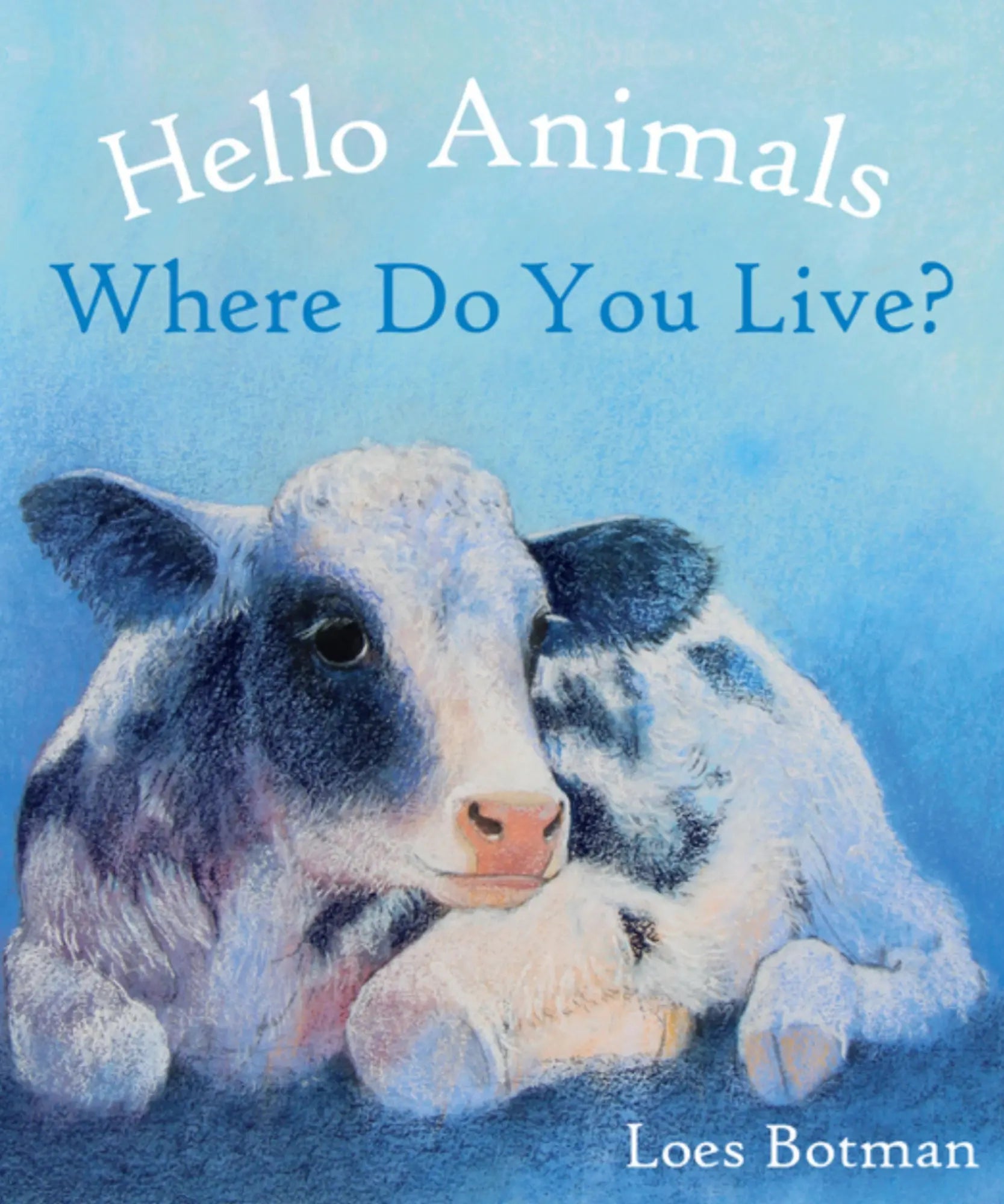 Book cover of 'Hello Animals, Where Do You Live?' with a calf holding a teddy bear against a blue background.