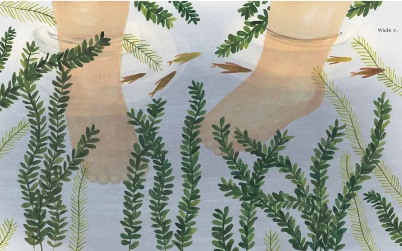 Illustration of feet walking in a leafy forest pool with fish swimming below.