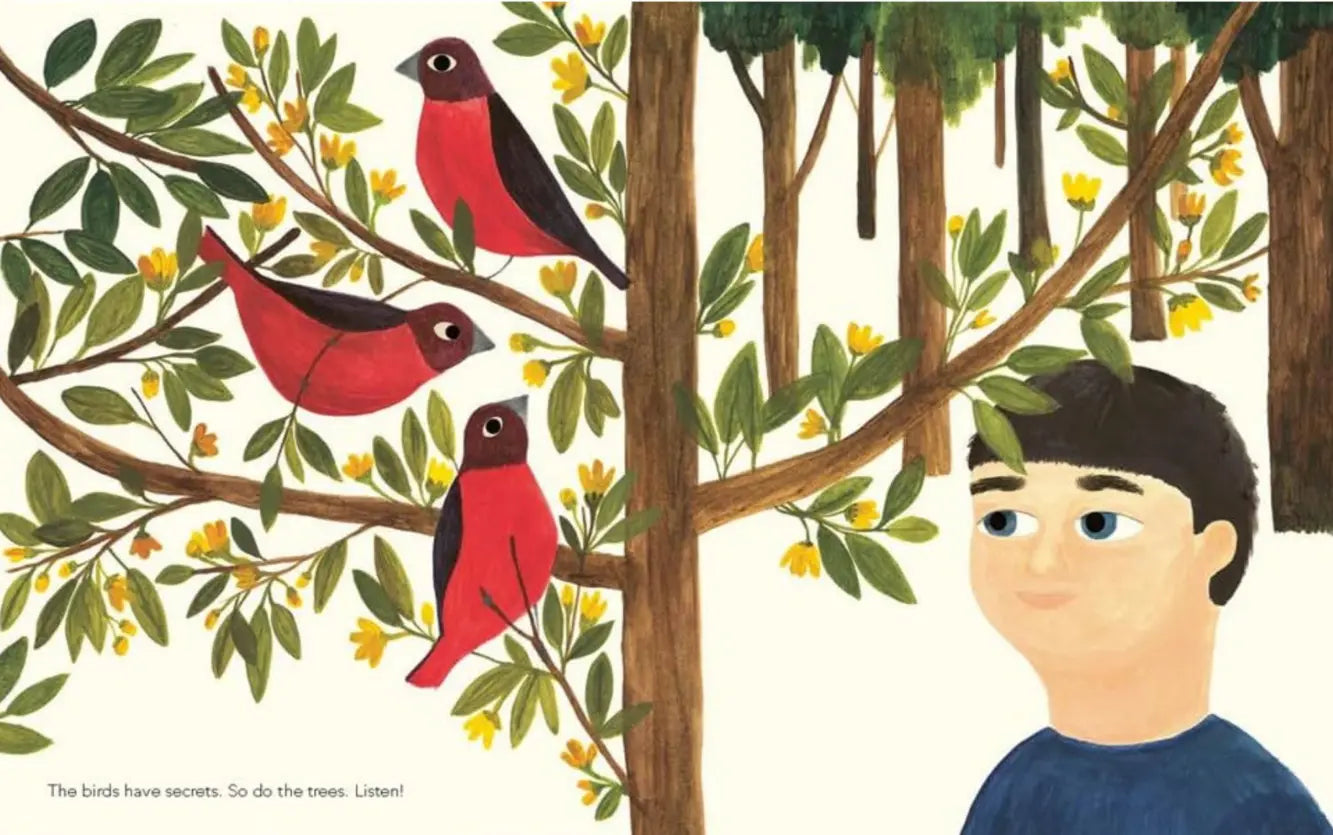 Illustration of a boy looking at birds in a forest