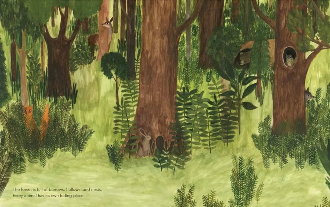 Illustration of a dense forest with tall trees, animals, and underbrush