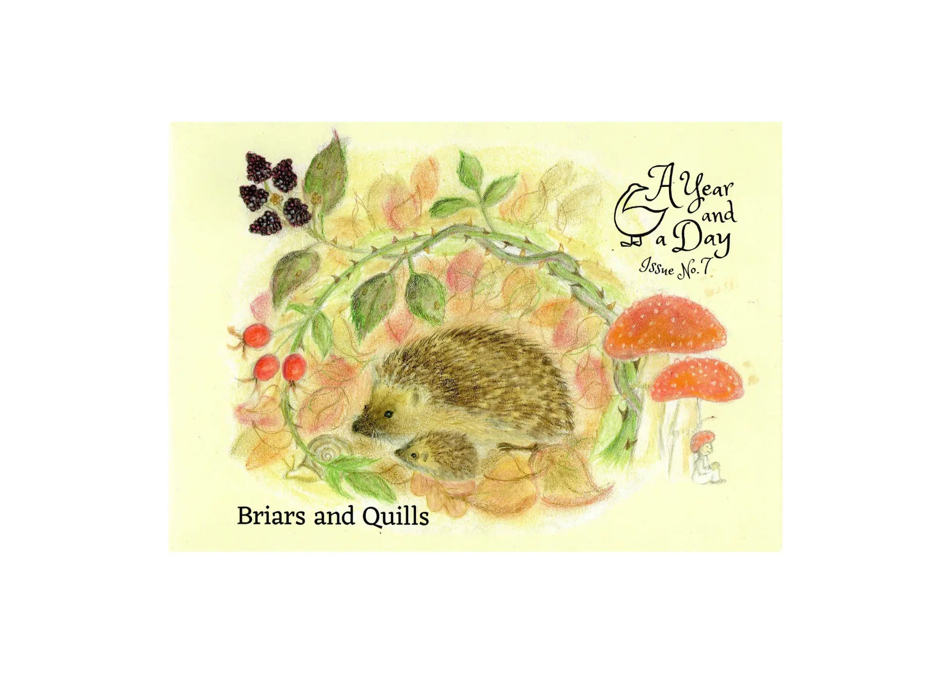 Book cover with hedgehog illustration, flowers, and text on a yellow background