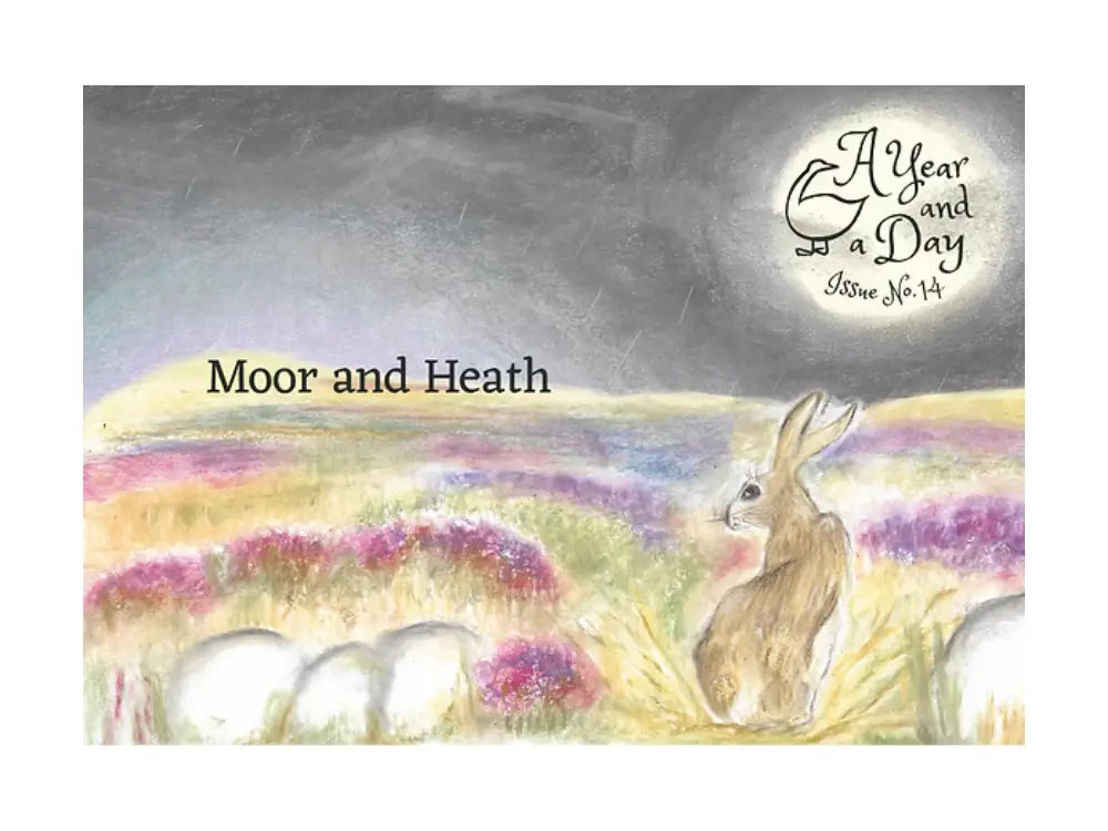 Cover of 'A Year and a Day' with a rabbit in a field and 'Moor and Heath' text.