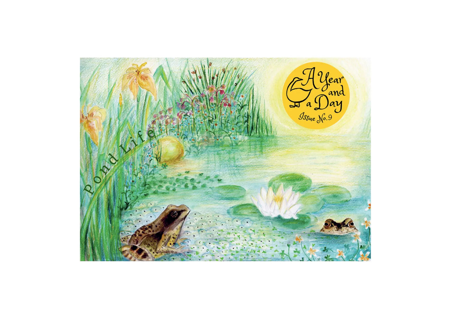 Illustrated cover of 'A Year and a Day' with frogs and pond life design.
