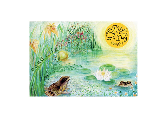 Illustrated cover of 'A Year and a Day' with frogs and pond life design.