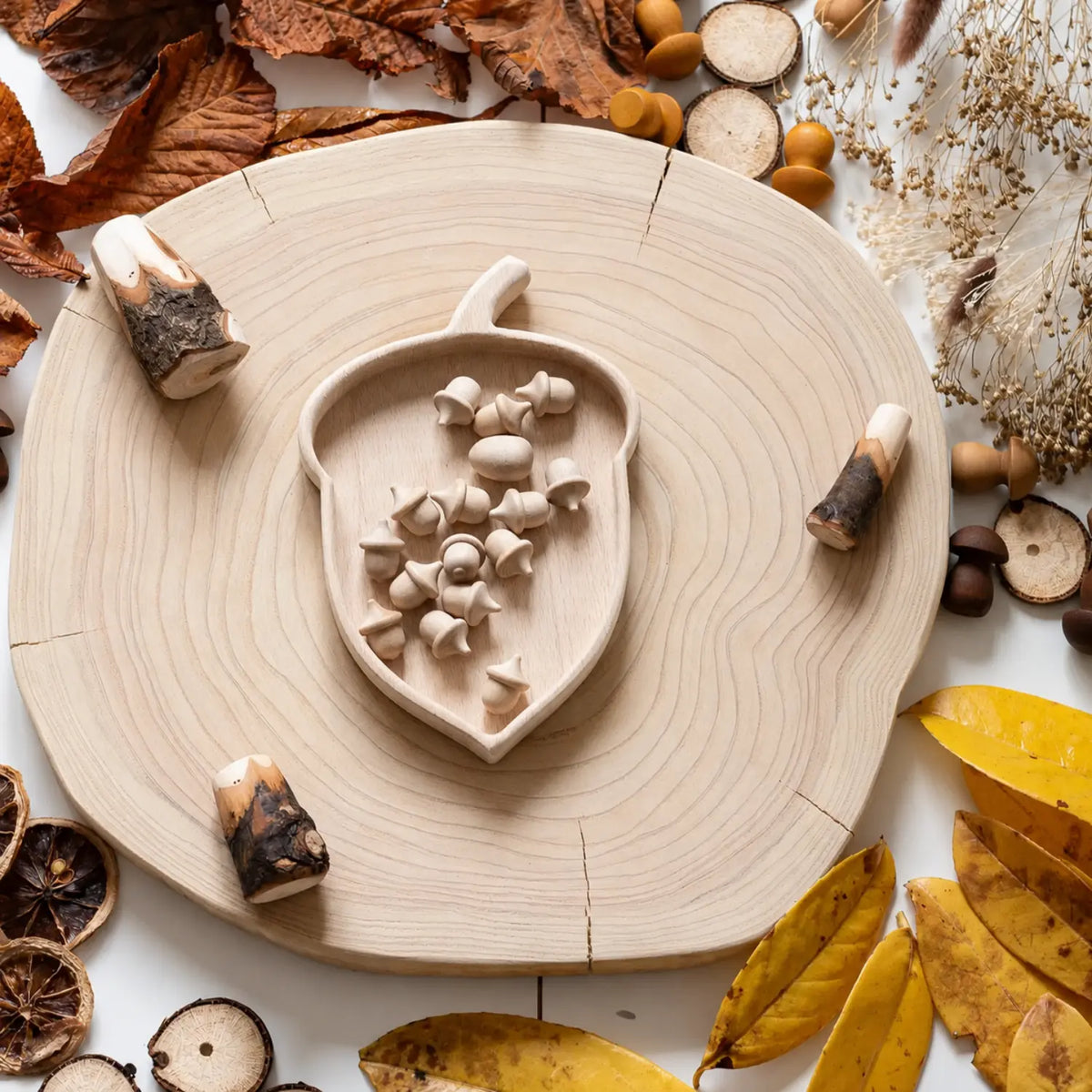 Acorn-Shaped Nature Table Sorting Tray
