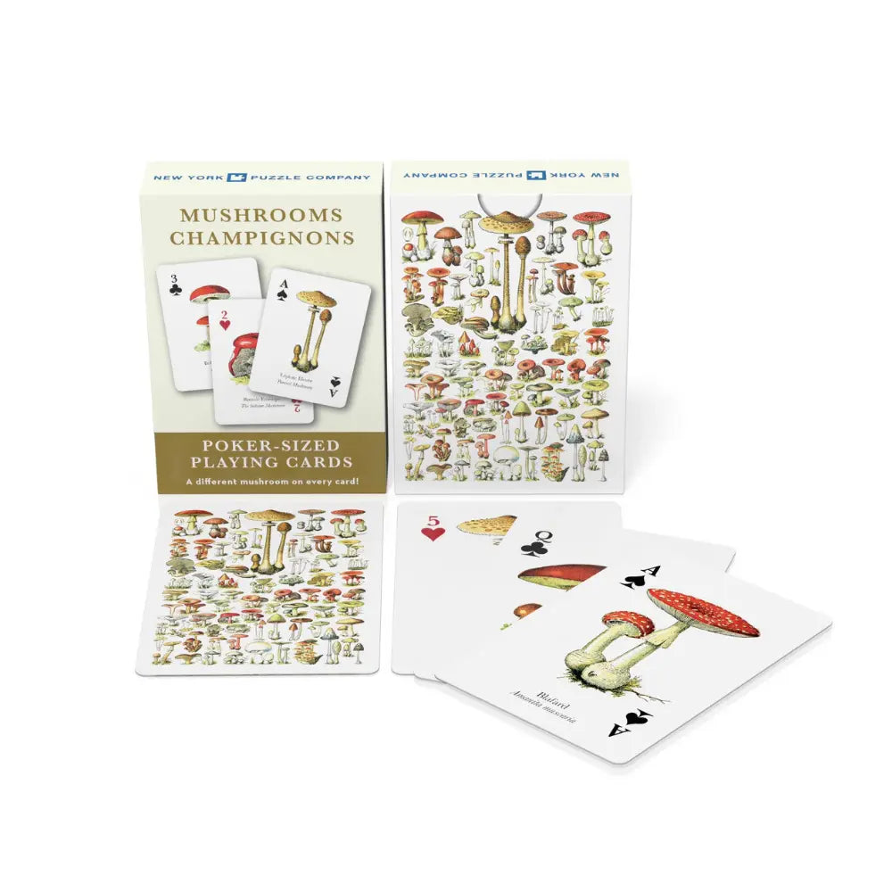 Playing cards with mushroom designs on a white background