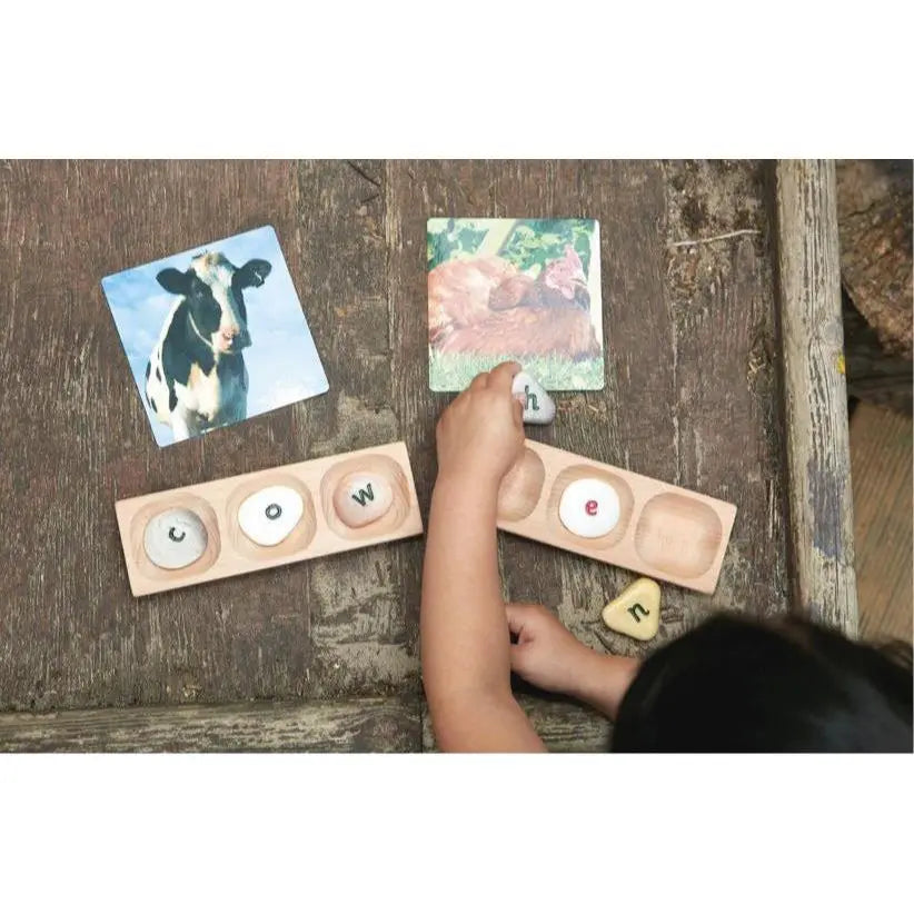 Child using alphabet pebbles to spell cow while looking at a photo of a cow