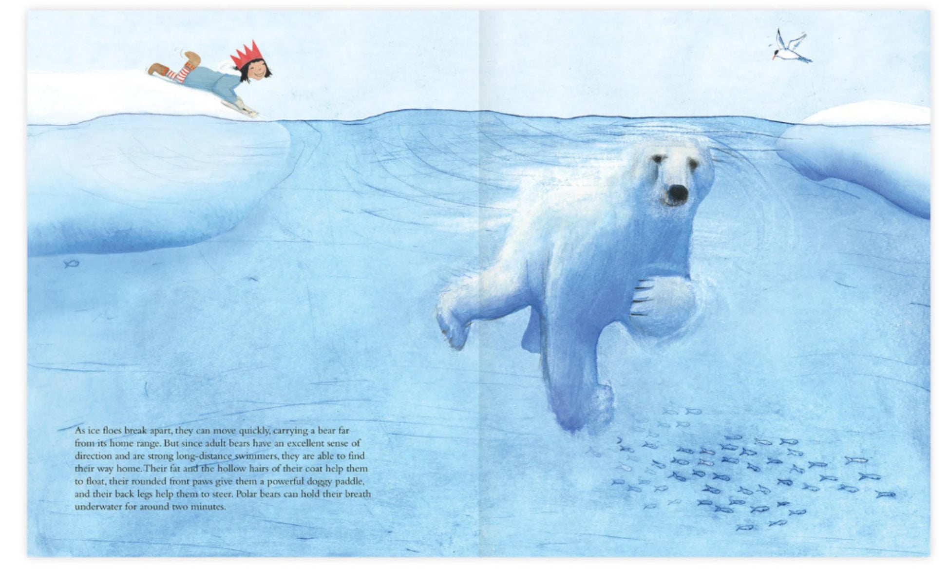 Painterly illustration of a polar bear swimming underwater surrounded by ice flows