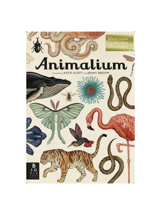 Animalium: Welcome to the Museum illustrated animal and zoology book by Jenny Broom and Katie Scott