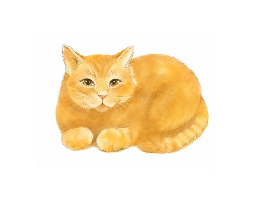 Applesauce the cat from the Limindoor Woods series in a soft watercolor-style illustration