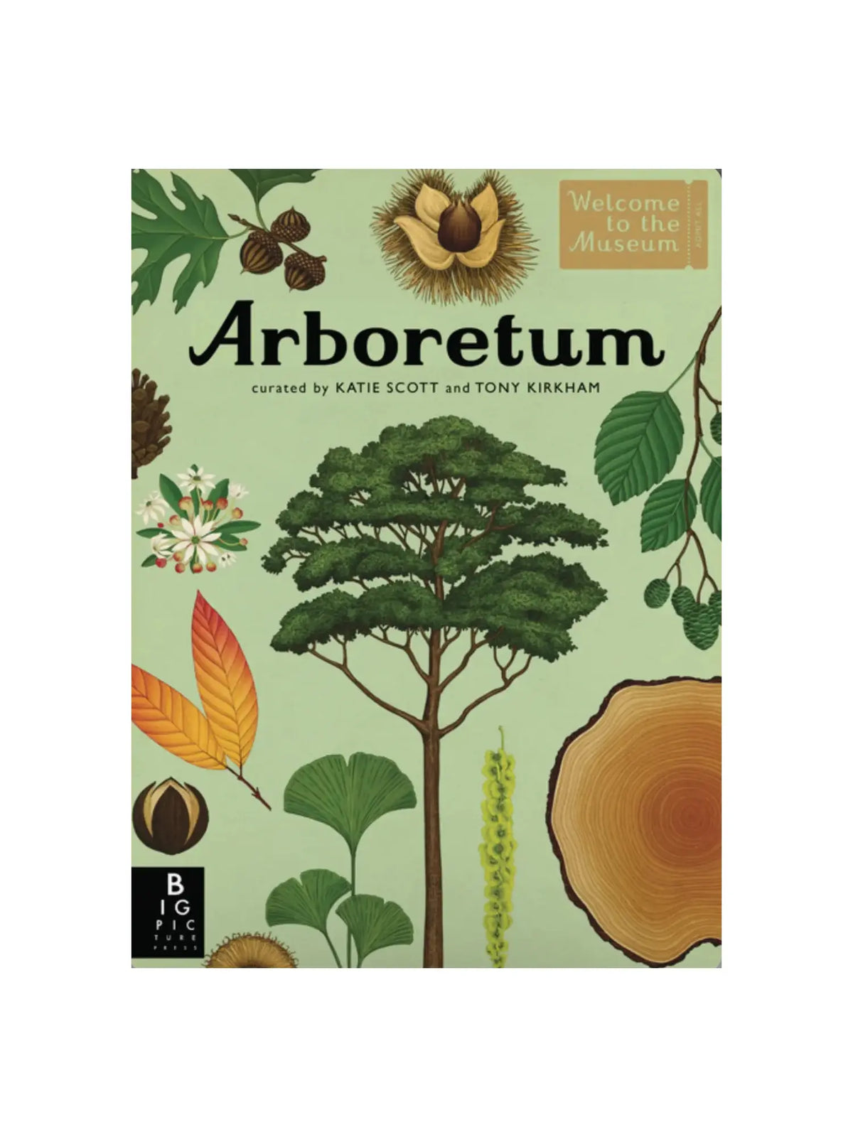 Arboretum: Welcome to the Museum illustrated tree and botany book by Tony Kirkham and Katie Scott