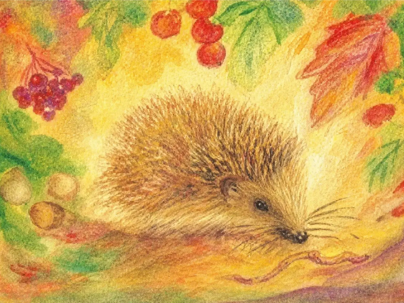 Illustration of a hedgehog with autumn leaves and berries