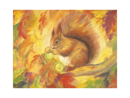 Squirrel postcard by Marjan van Zeyl featuring a red squirrel holding an acorn among warm autumn leaves