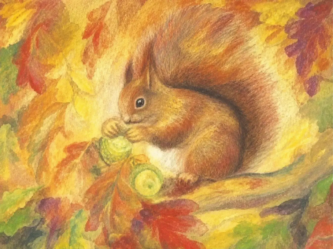 Illustration of a squirrel holding acorns among autumn leaves