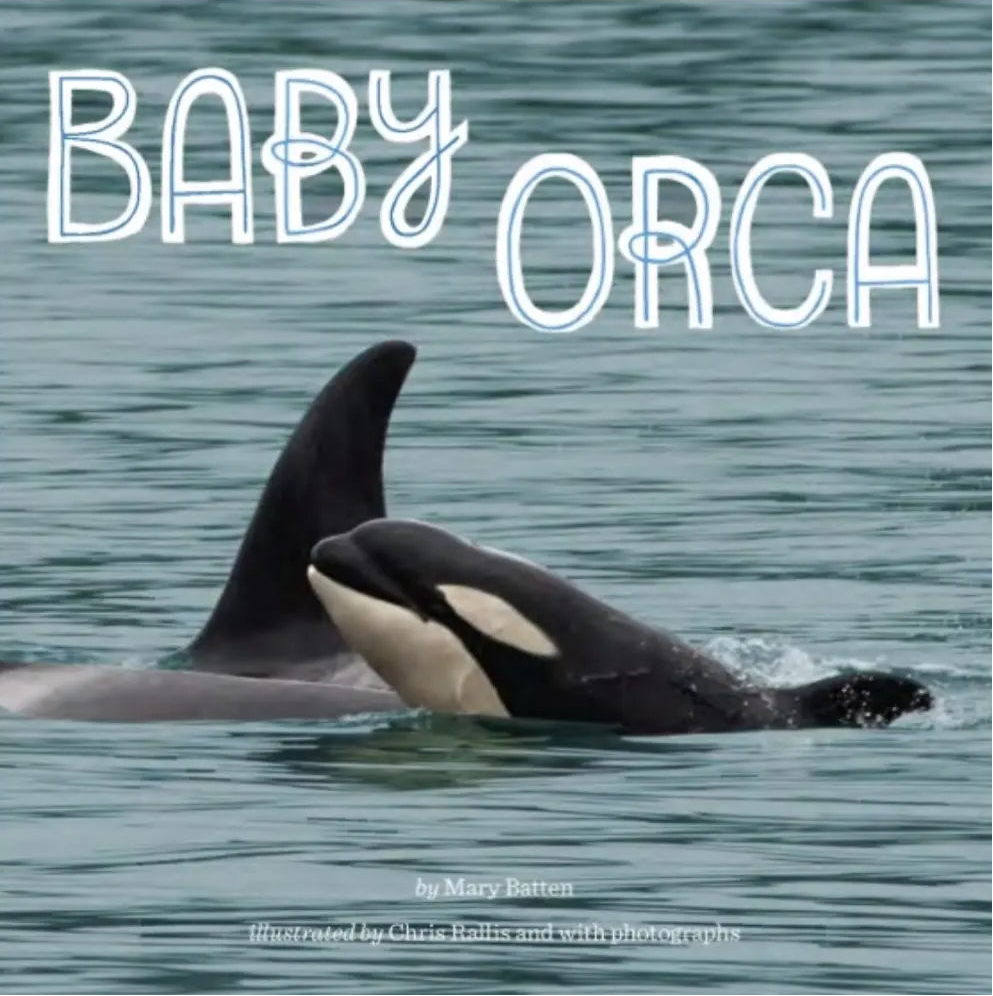 Book cover of 'Baby Orca' with an orca whale in water