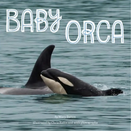 Book cover of 'Baby Orca' with an orca whale in water