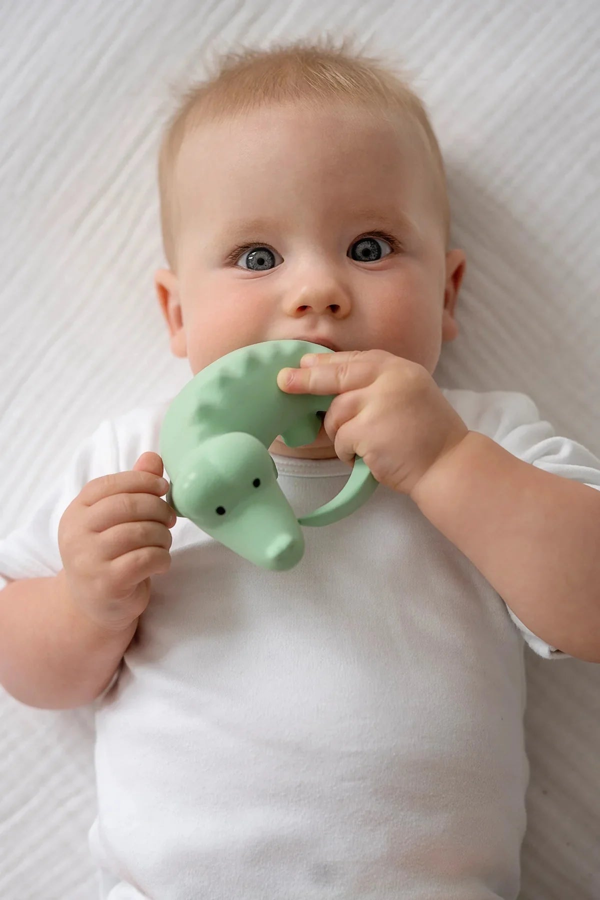 Infant holding and mouthing or teething on a natural rubber crocodile toy