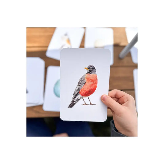 Hand holding a card with a bird illustration against a blurred indoor background