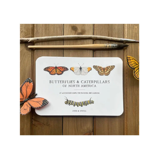 A nature card on a table with butterflies and a caterpillar and text Butterflies and Caterpillars of North America