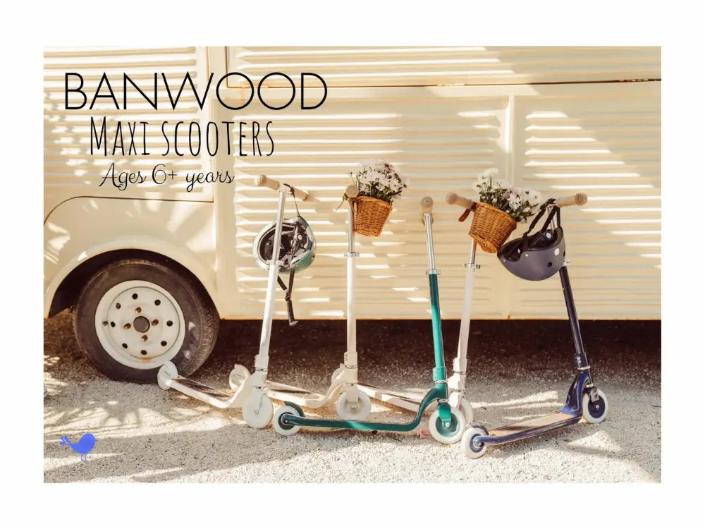 2-Wheel Scooter for Kids 6+ years – Banwood Maxi Scooter