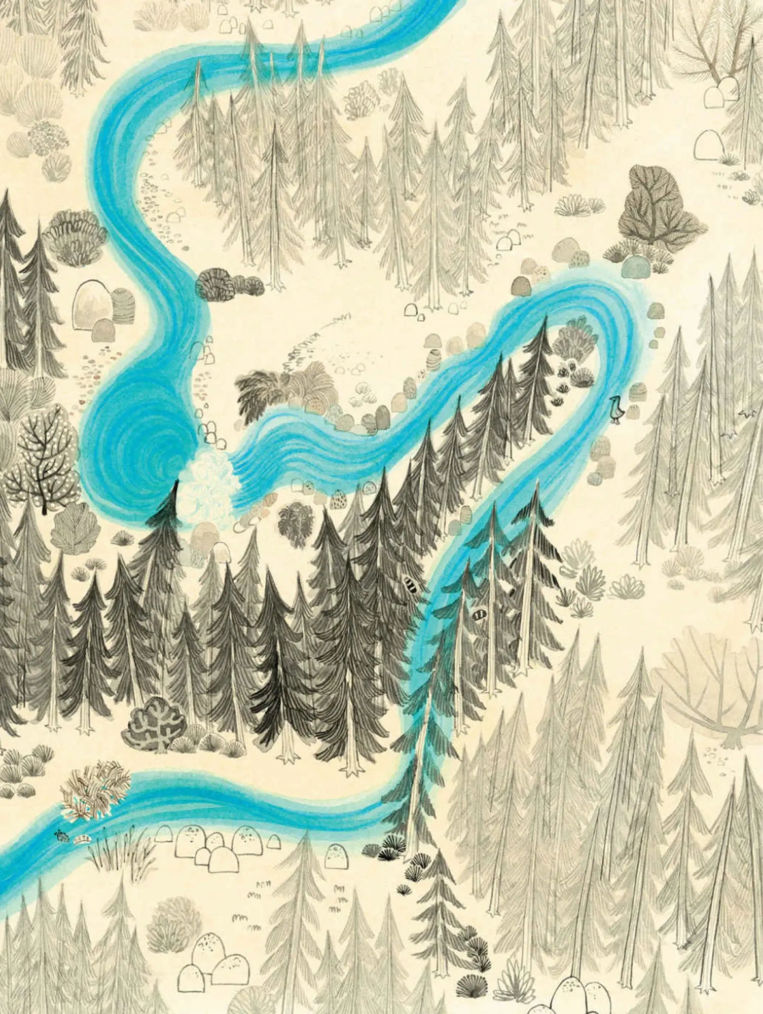 illustration of a river meandering through a forest landscape