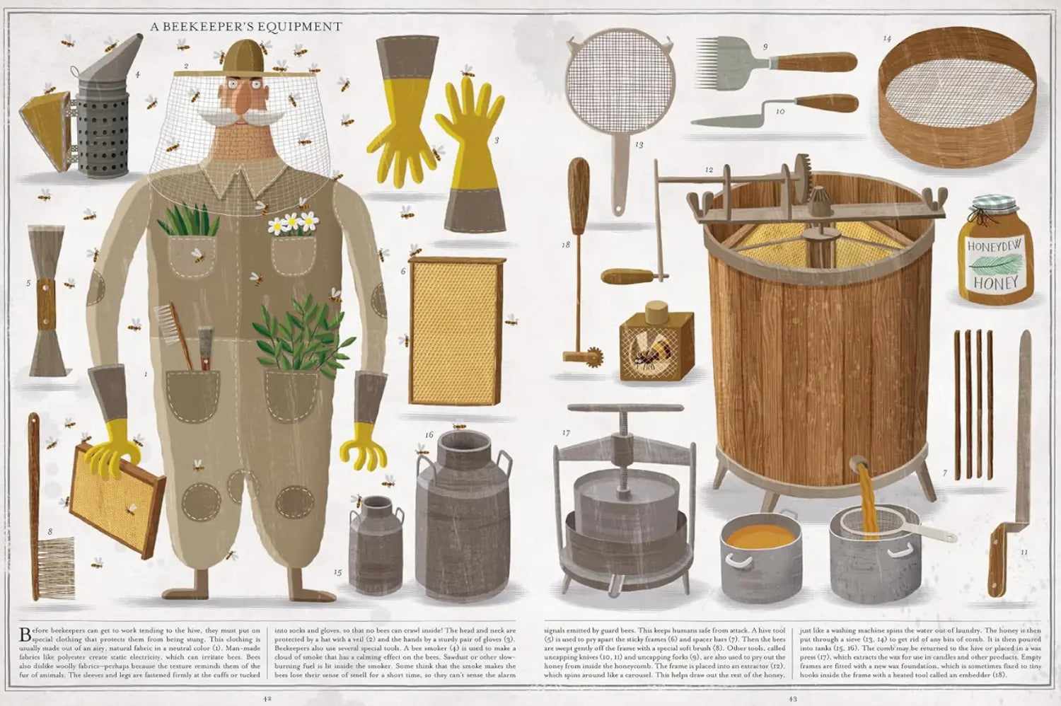 educational illustration about beekeeping
