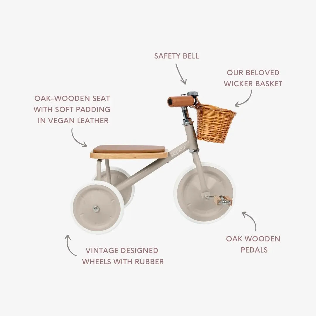 Children's tricycle with features labeled on a white background