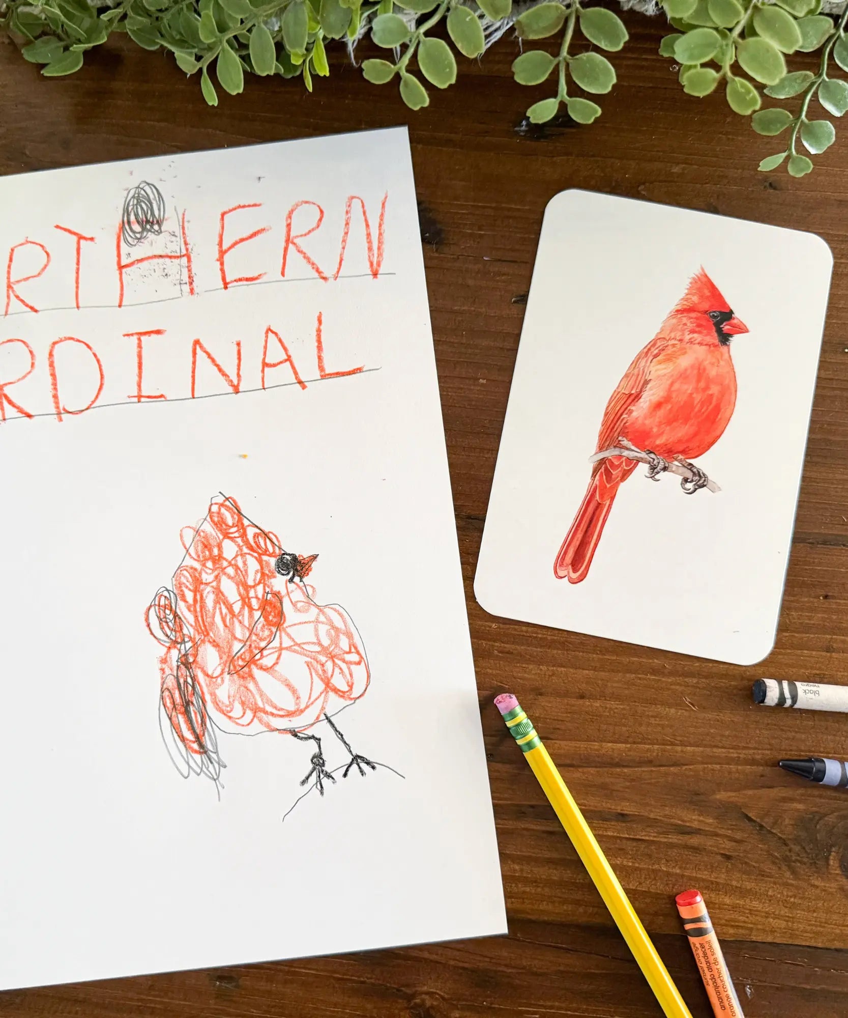 Children's drawing of a cardinal next to a printed card with a cardinal illustration on a wooden surface.