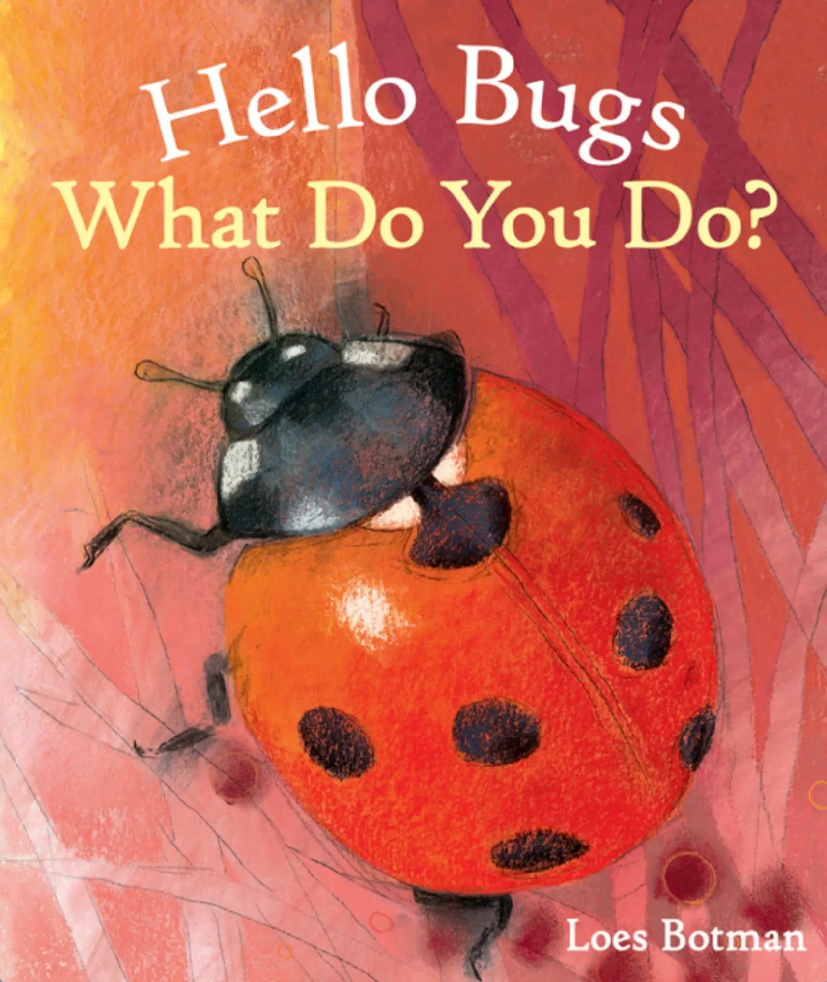 Book cover of 'Hello Bugs What Do You Do?' with a ladybug illustration on a colorful background.