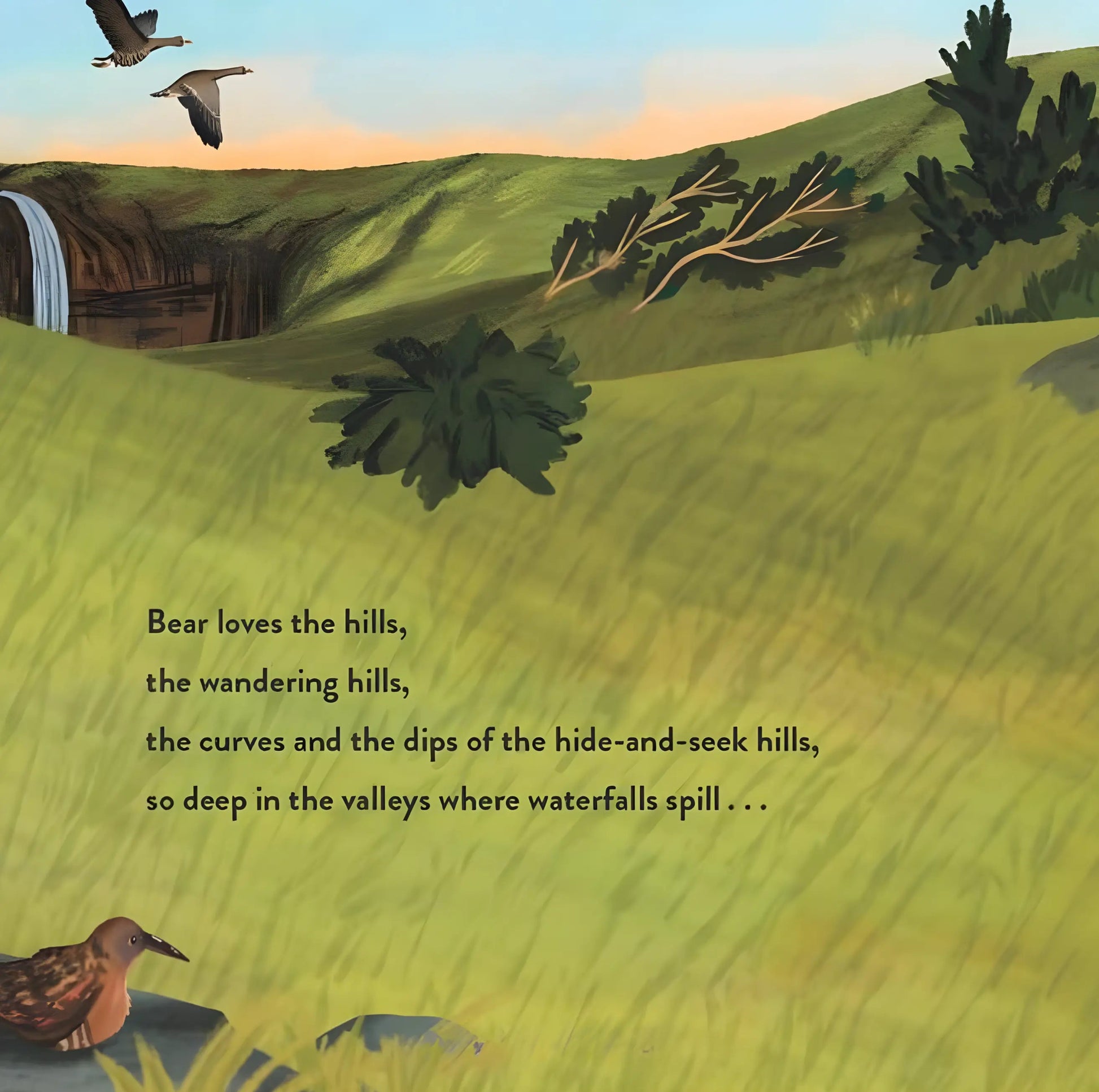 Illustration of a landscape with hills, a bird, and text about bear's love for the hills.