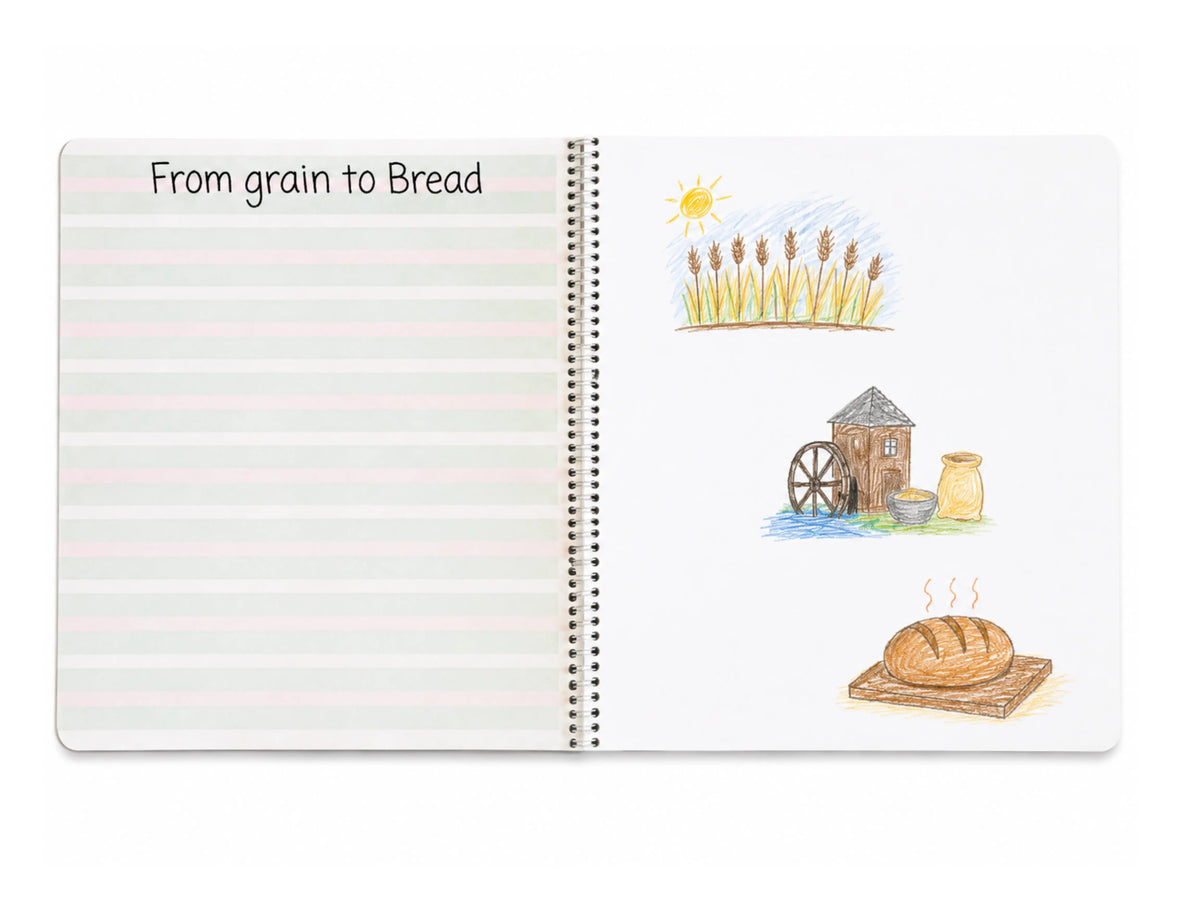 An open spiral-bound Book of Centuries. The left page has pale pink horizontal lines and the heading 'From grain to Bread.