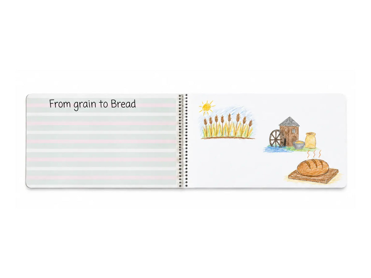 An open spiral-bound Book of Centuries. The left page has pale pink horizontal lines and the heading 'From grain to Bread.