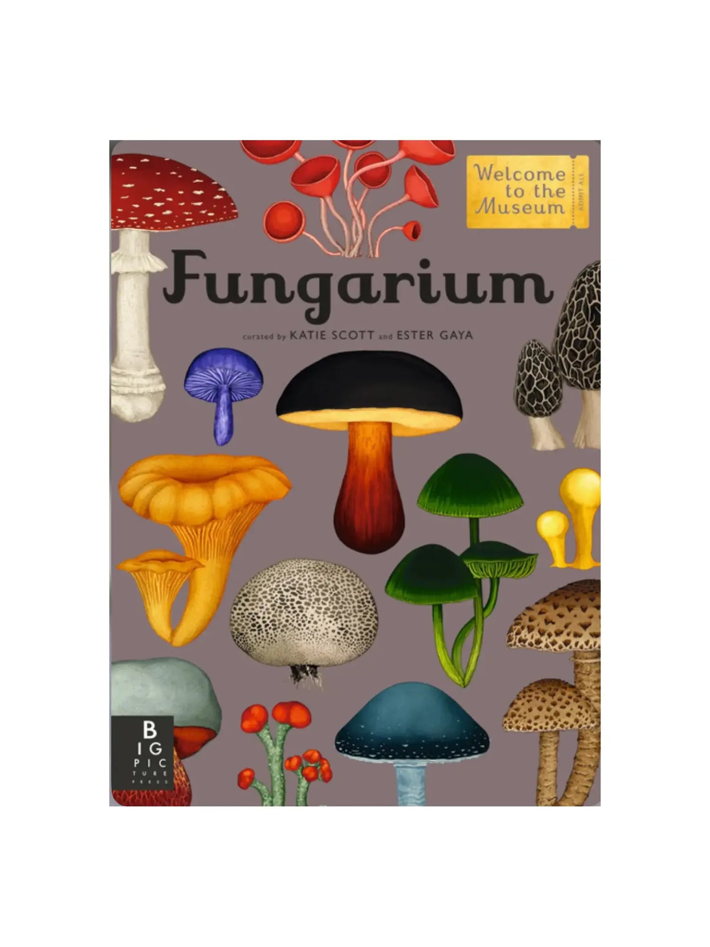 Cover of the book 'Fungarium - Welcome to the Museum' featuring illustrations of various fungi, including mushrooms and lichens, in vibrant colors.