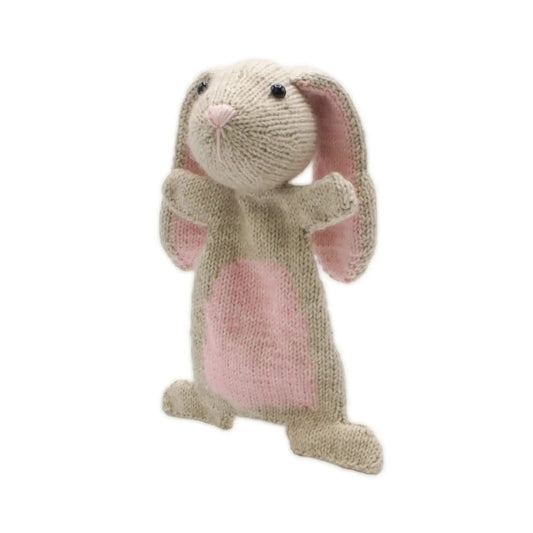 Finished knitted bunny stuffed animal from a Scheepjes yarn kit