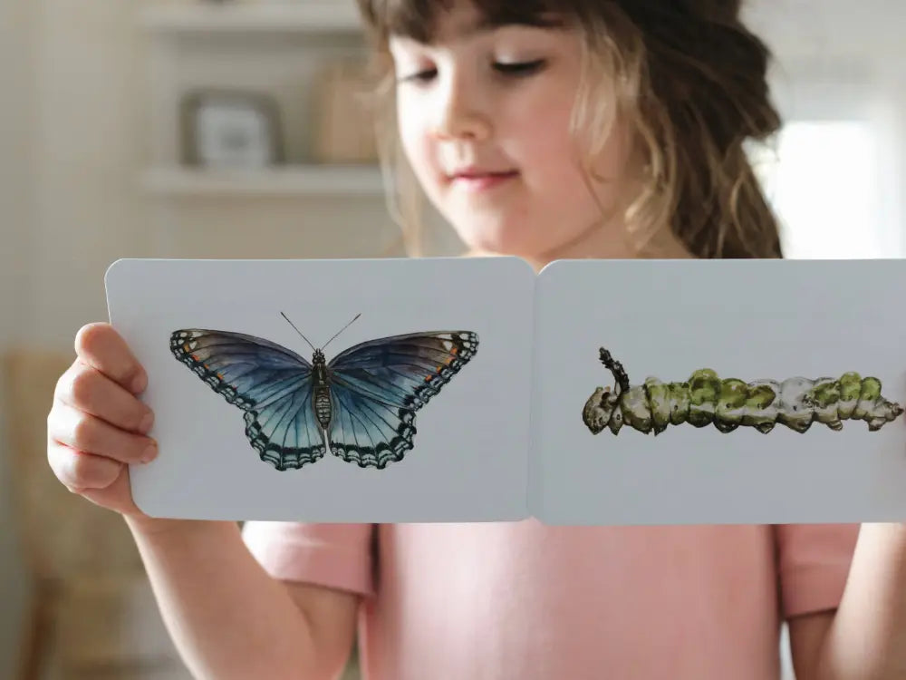 a child holding a two cards of a blue and black butterfly and a caterpillar