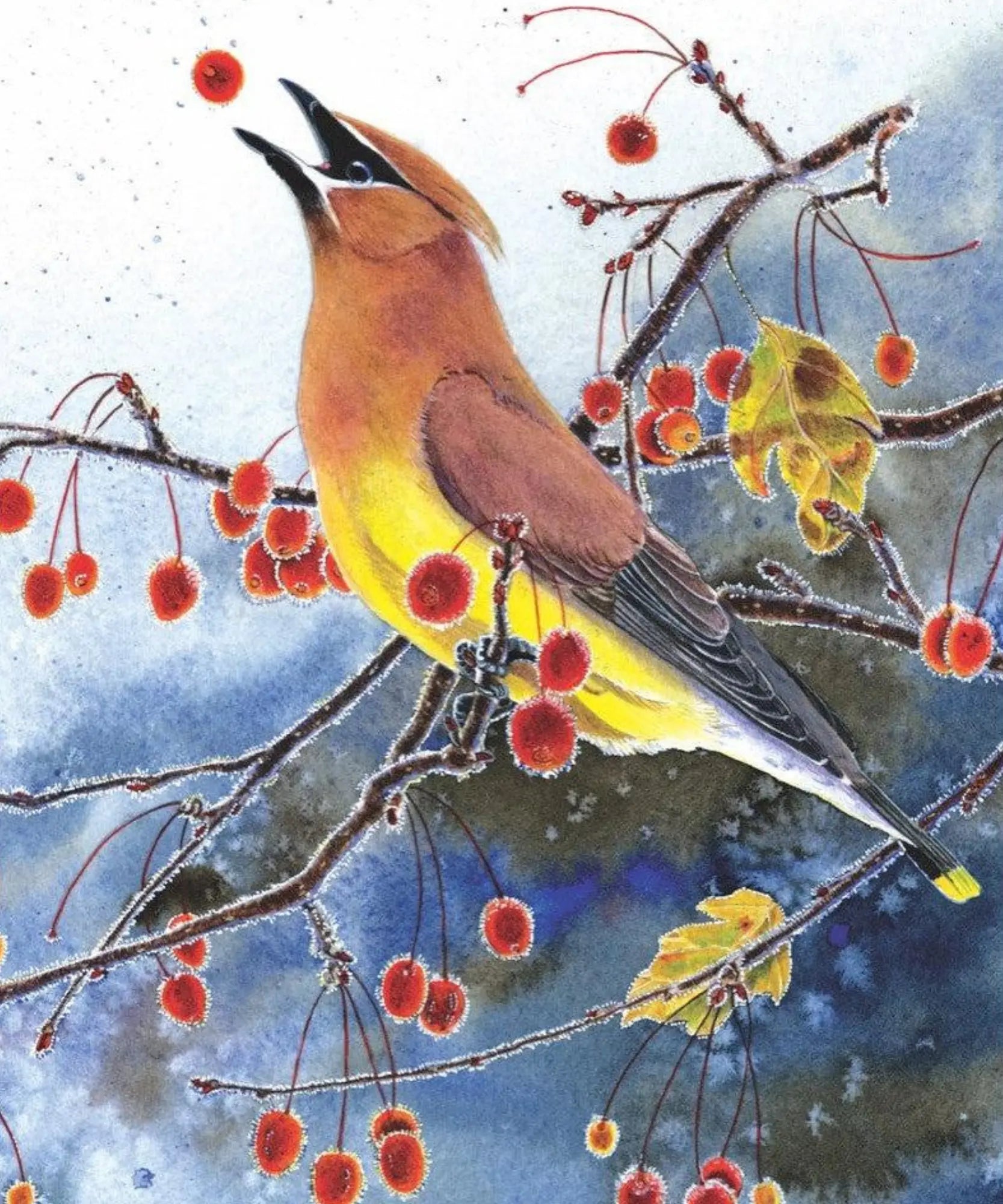 Cedar Waxwing 100 piece mini jigsaw puzzle artwork showing a waxwing perched among red berries