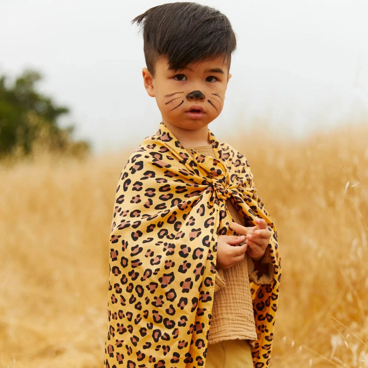 Child with painted cheetah whiskers wearing the cheetah playsilk as a cape in a golden grass field