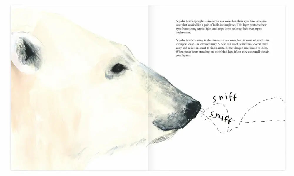 Illustration of a polar bear's face with text about polar bears' features.