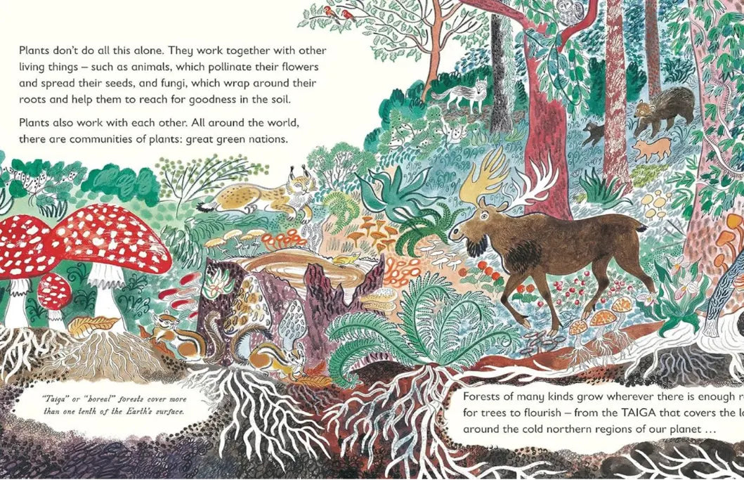 Illustration of a forest scene with animals and plants, featuring text about ecosystems.