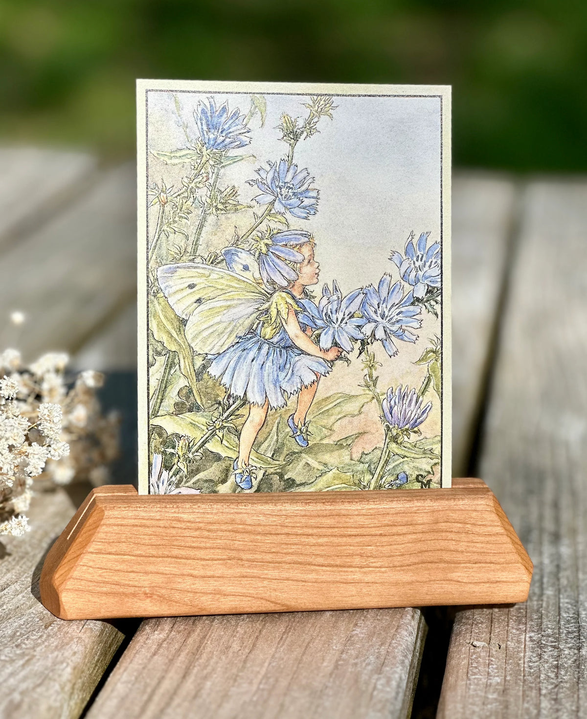 Cicely Mary Barker Chicory Flower Fairy postcard displayed in a wooden card holder