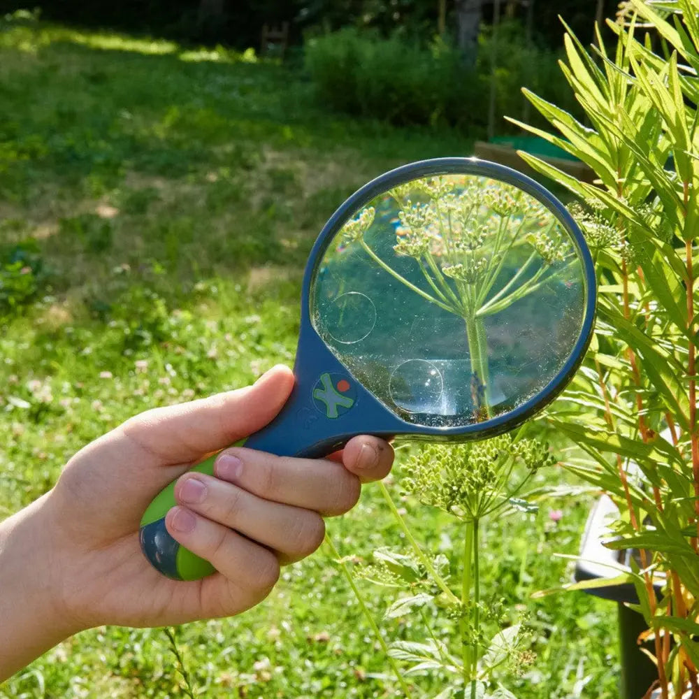 Hand holding a magnifying glass over a plant in a garden