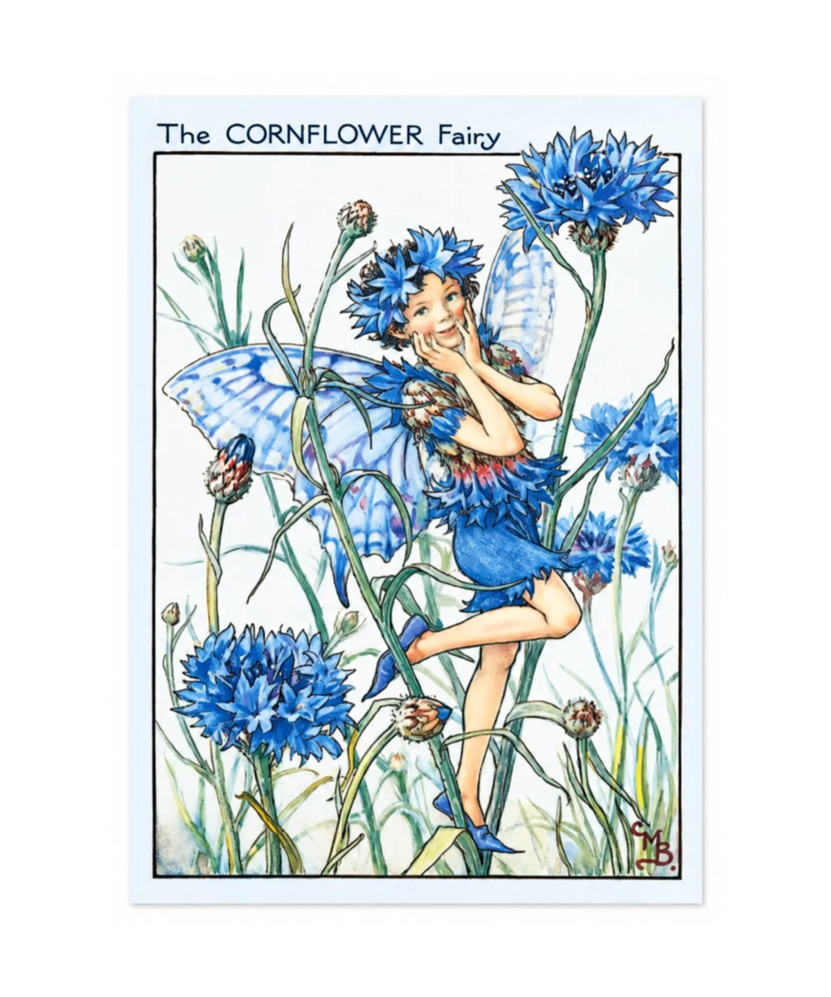 The Cornflower fairy by Cicely Mary Barker on a white background