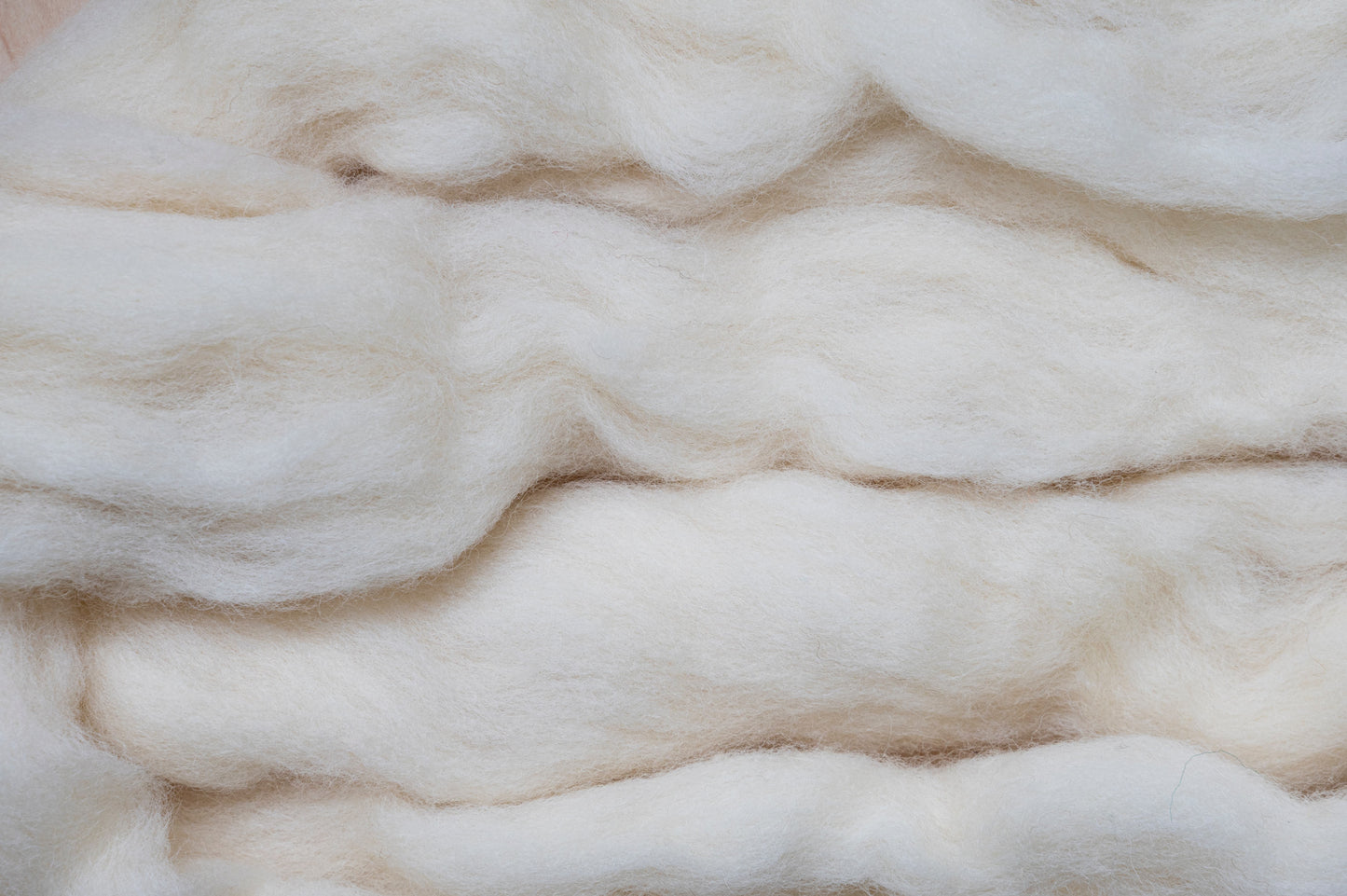 Close-up texture of white Corriedale wool batting for dollmaking, stuffing, and needle felting