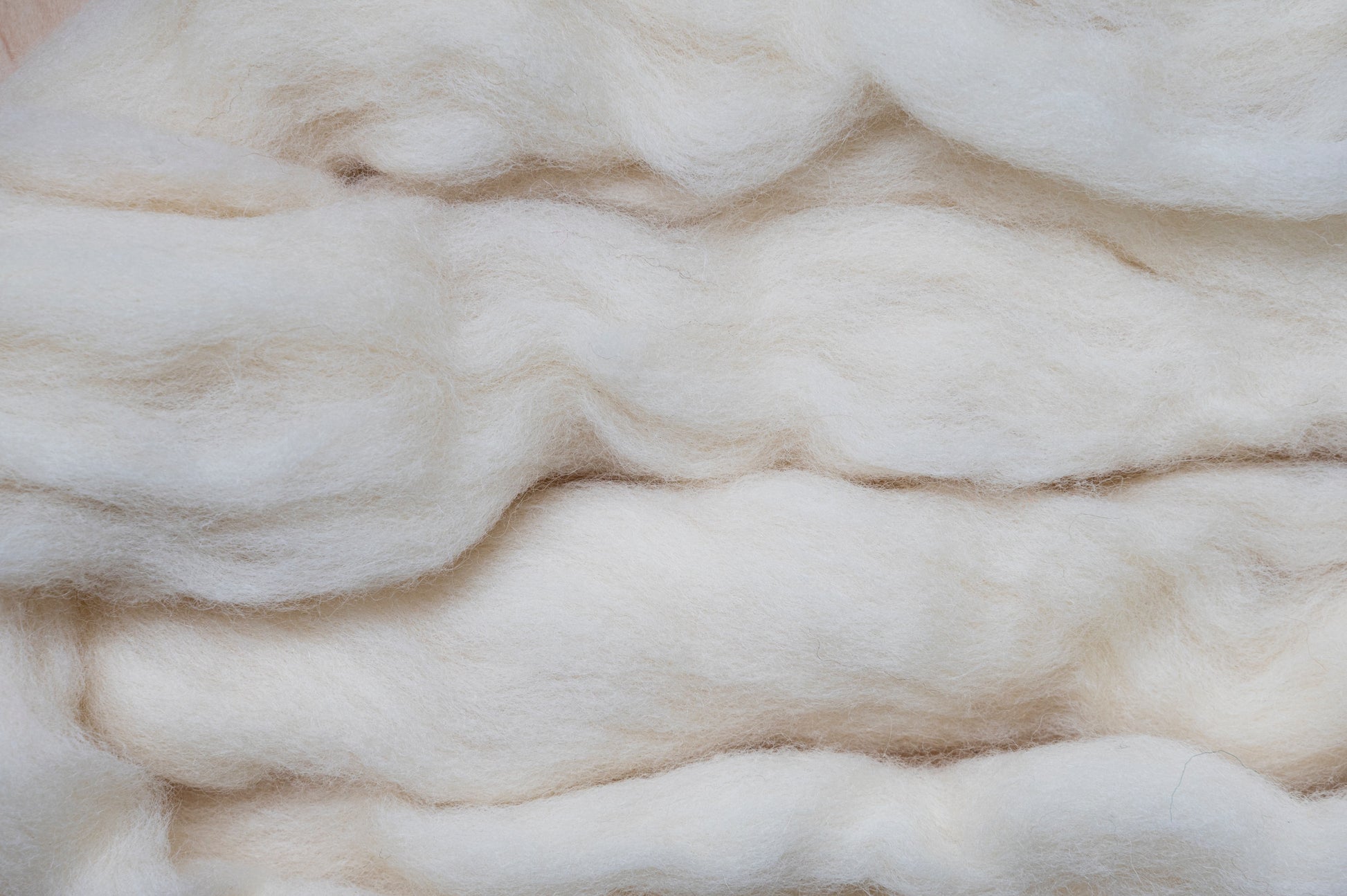Close-up texture of white Corriedale wool batting for dollmaking, stuffing, and needle felting