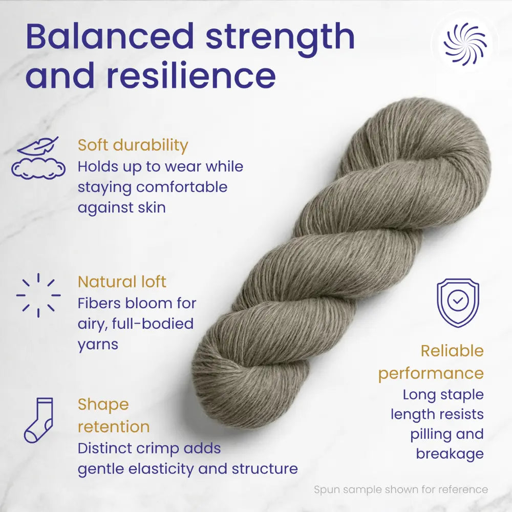 Natural gray Corriedale wool combed top spinning and felting fiber bundle