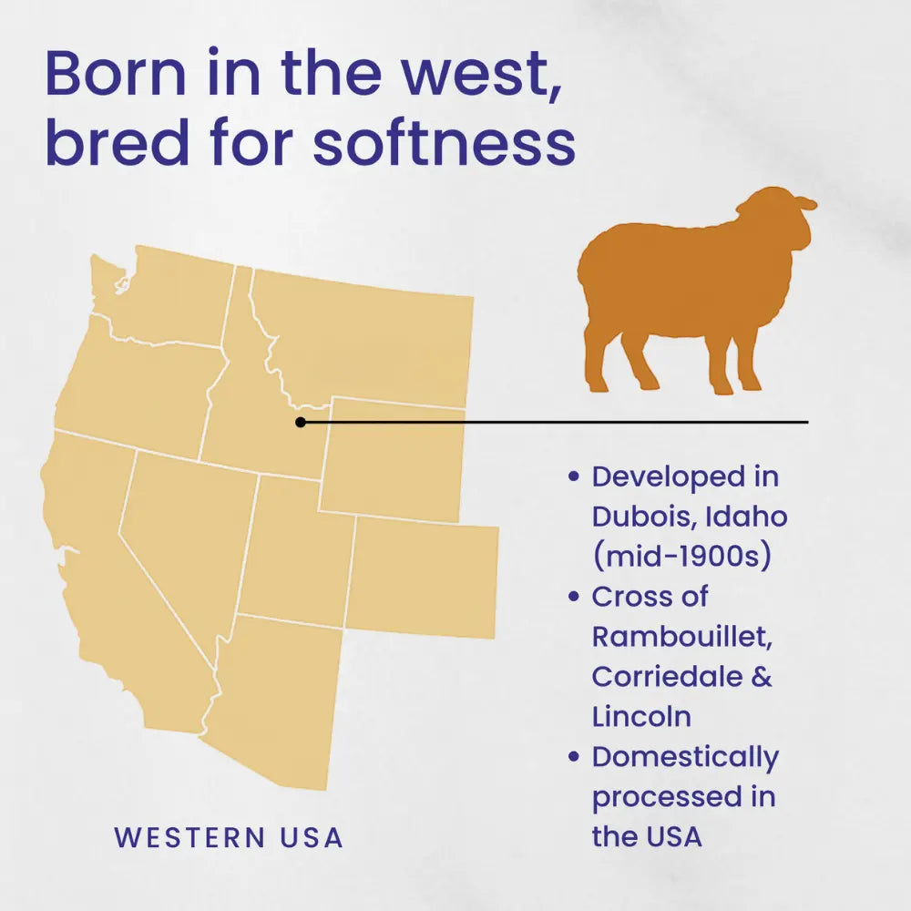 Map of Western USA with a sheep silhouette and text about a breed's origin and characteristics.