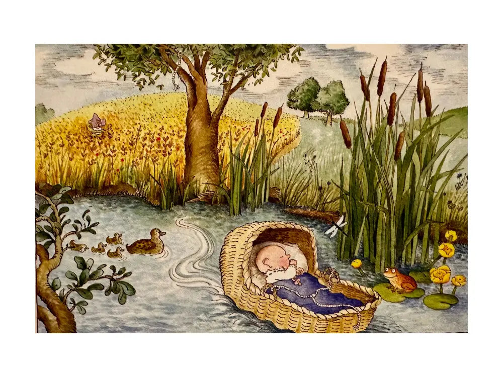Illustration of a baby in a basket by a river with ducks and nature elements.