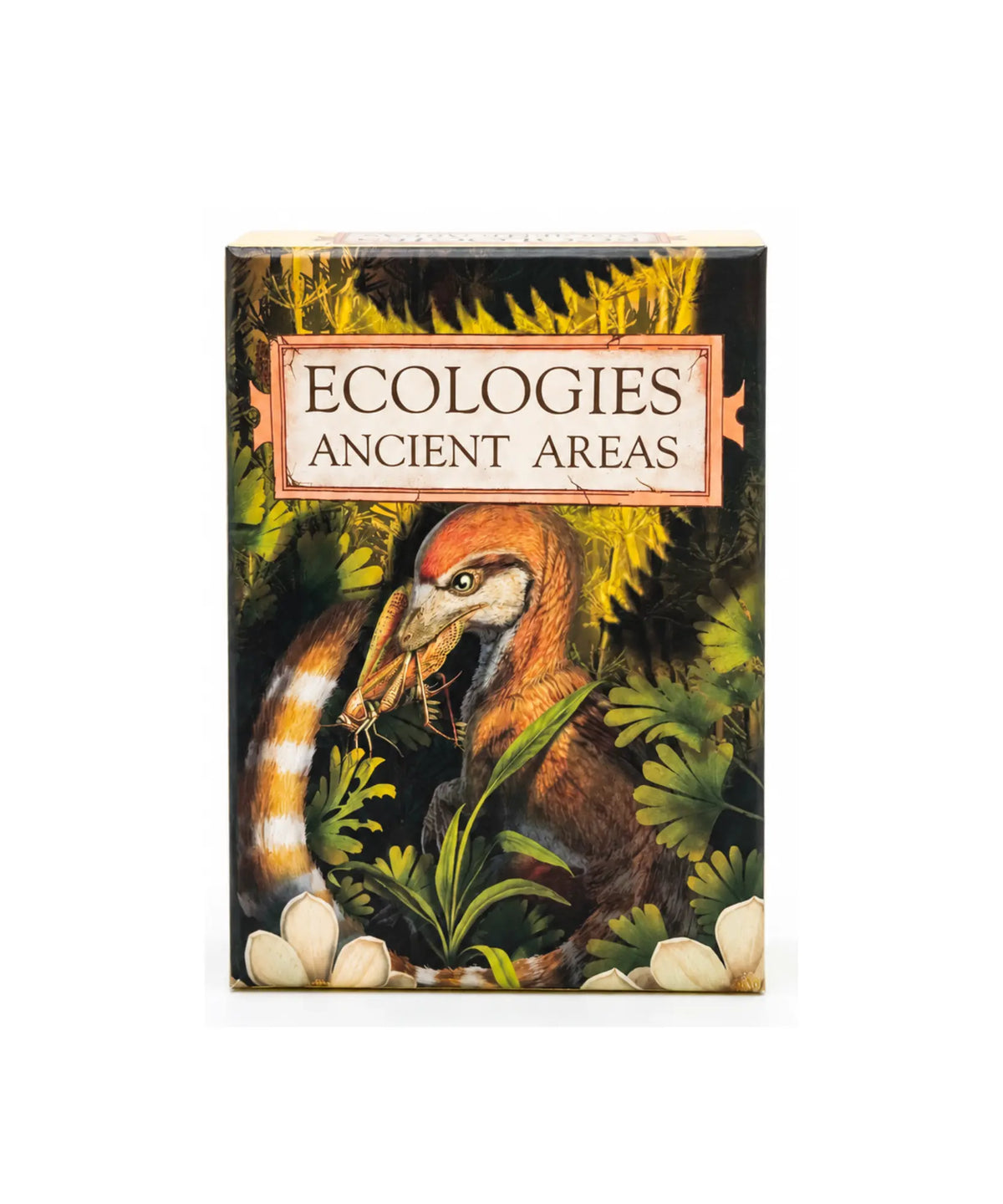 Ecologies Ancient Areas science card game box front on a white background
